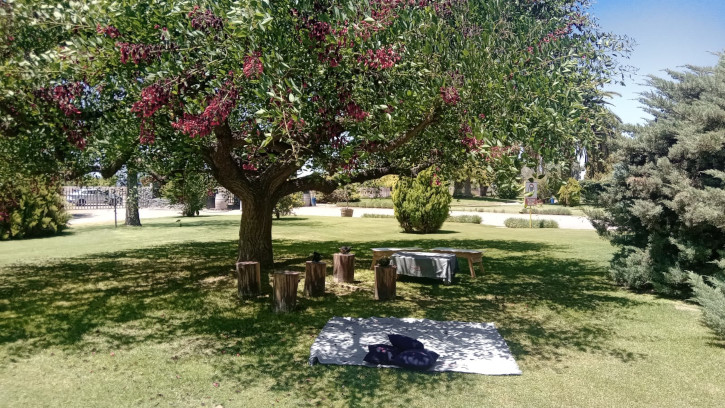 Patio of the Los Haroldos winery